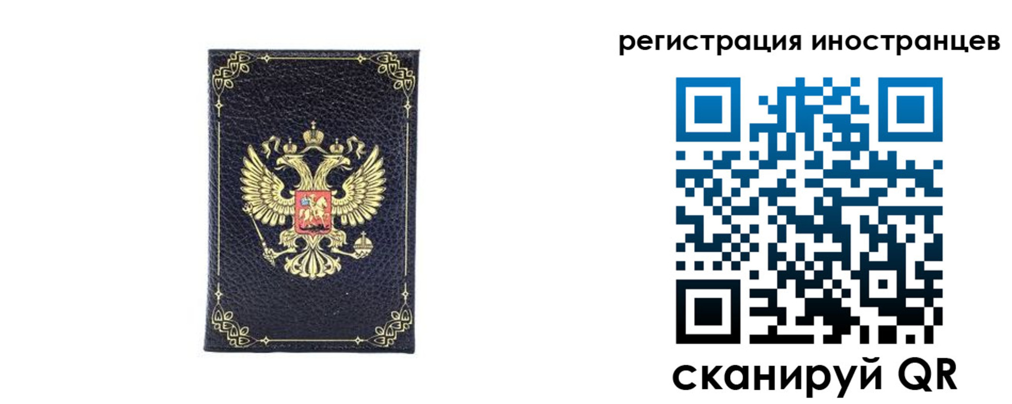 прописка для школы в Мирном